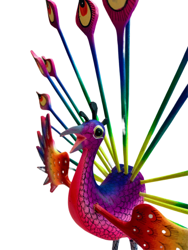 Peacock, face detail