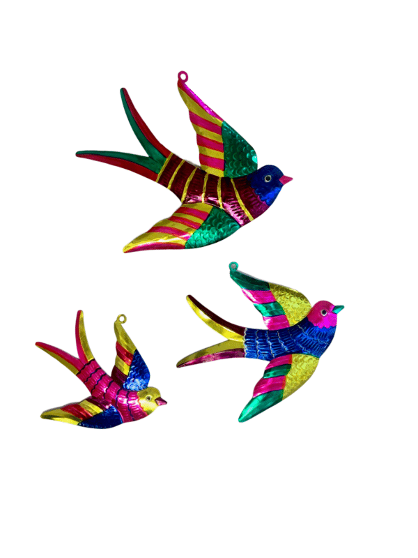 Golandrina Trio, Color Variation Example