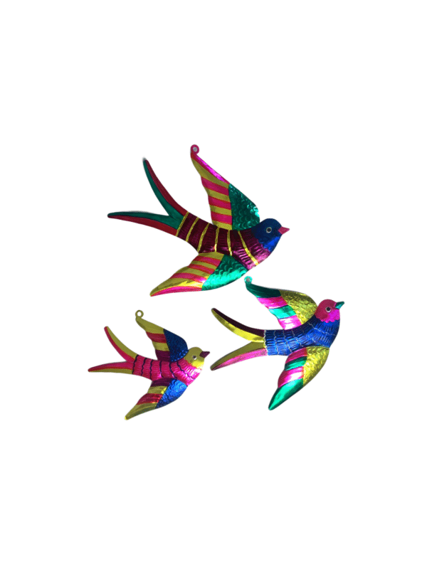 Golandrina Trio, Front Color Variation Example