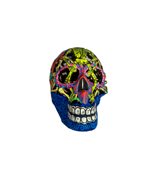 Blue Skull With Skeletons, Front View