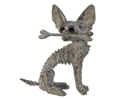 Skeleton Chihuahua, front view
