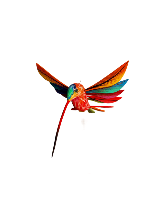 hummingbird orange/pink front