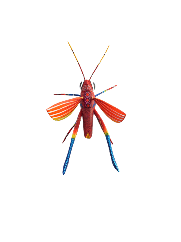 Red Grasshopper Top View