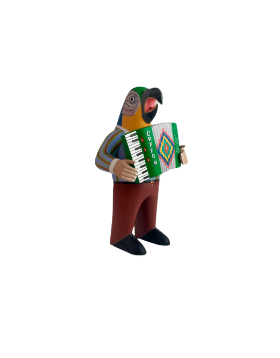 Parrot Accordion Player View 2