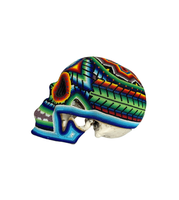 Huichol Skull #3, left side view