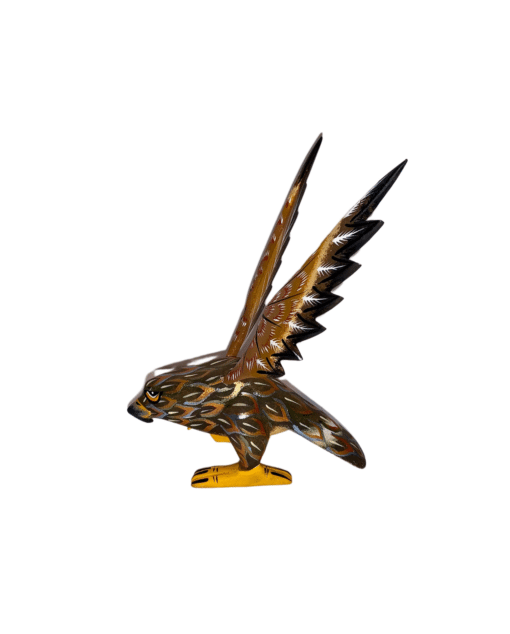 Bird Of Prey, Left Side View