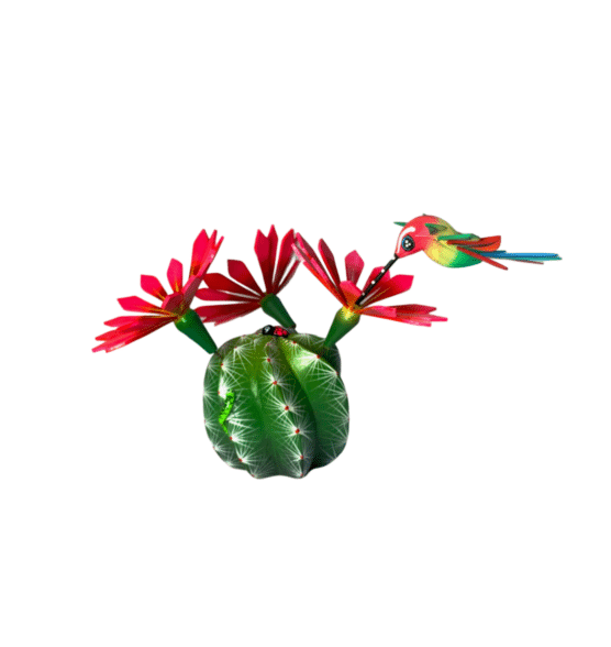 Flowering Cactus with Hummingbird, view 5