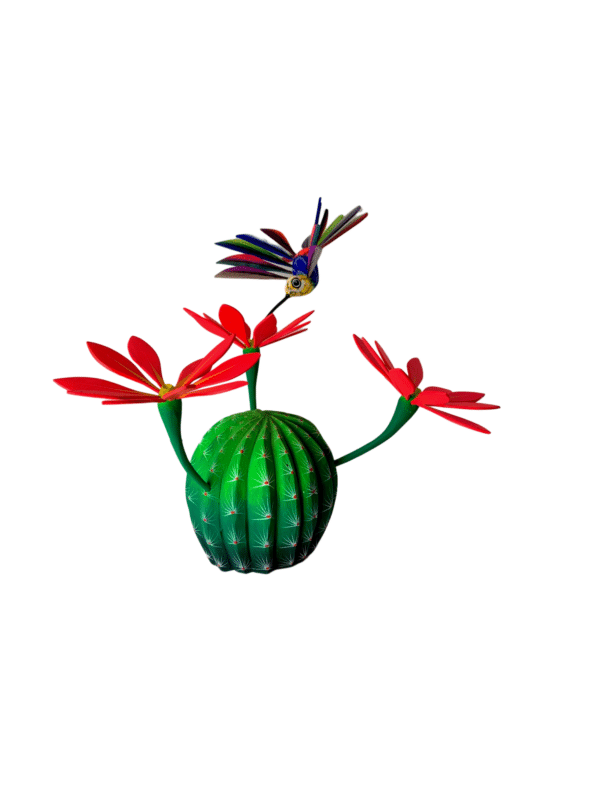 green flowering cactus with hummingbird