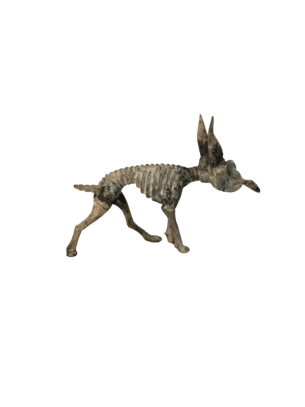 Skeleton Dog, right side view