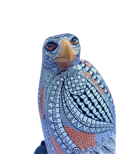White Falcon, close up
