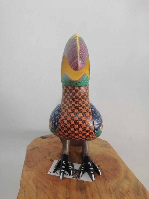 Colorful Toucan, Front Side