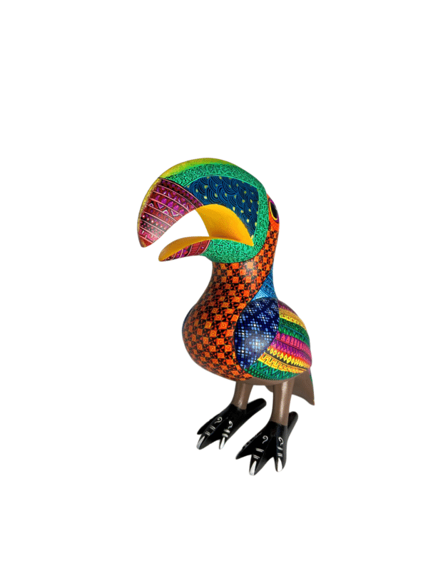 Colorful Toucan, front angle view.