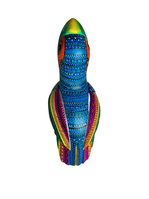 Colorful Toucan, back view.