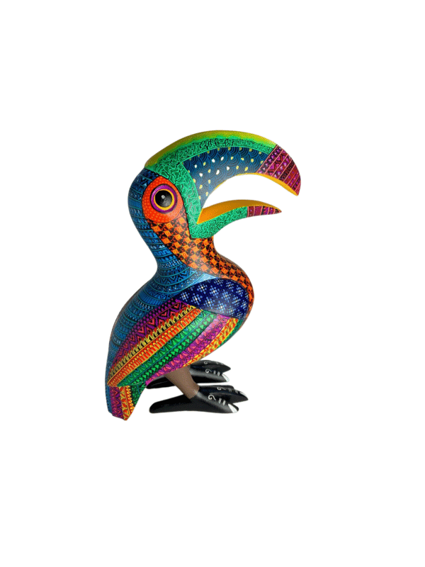 Colorful Toucan, right side view.