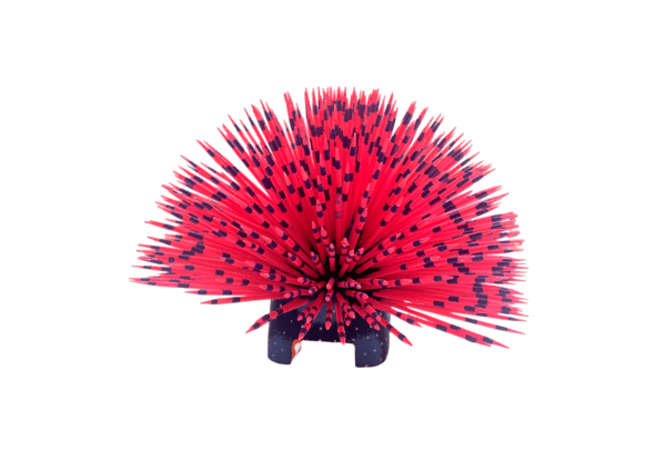 Pink Porcupine, Back View