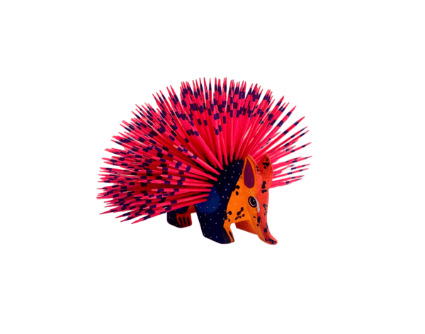 Pink Porcupine, Front Angle View