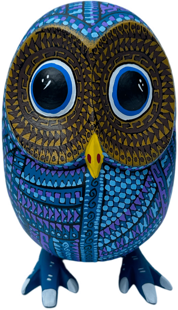 Blue Owl, Front View, large