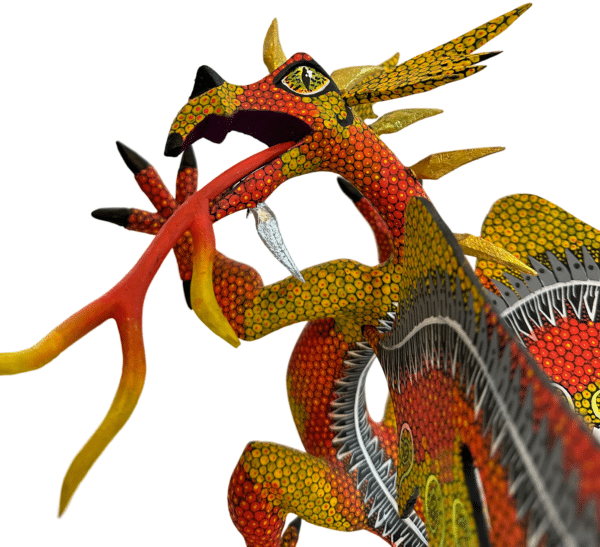 Orange Dragon, Face Closeup