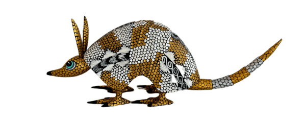 Gold Armadillo, Left Side View