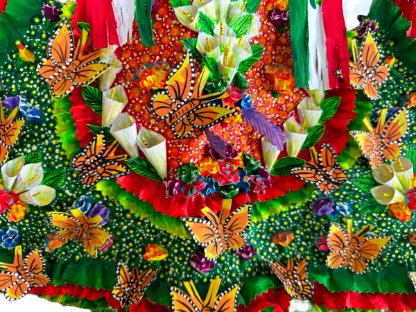 Viva Mexico Catrina, Dress Detail, Front View